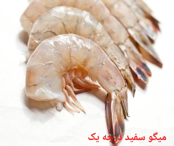 بهترین میگو سفید درجه یک صادراتی ایران + قیمت خرید عالی