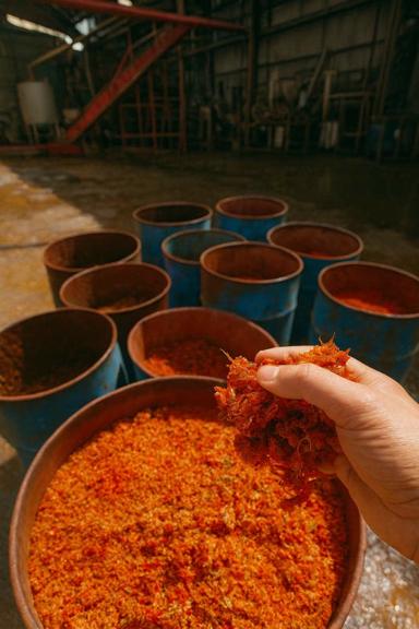 قیمت فروش  تفاله گوجه