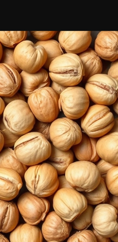 فروش فندق خشک خندان + قیمت مناسب