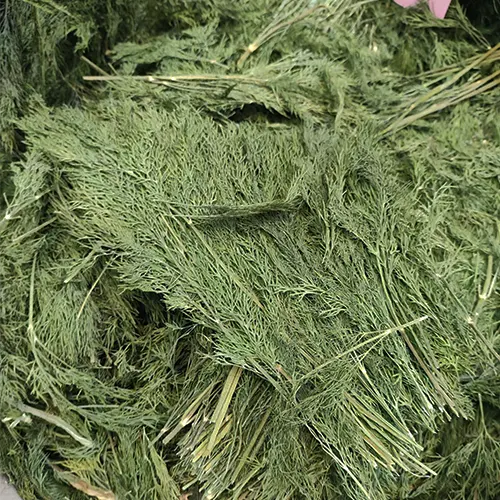 فروشندگان بهترین شوید خشک پفکی کرج