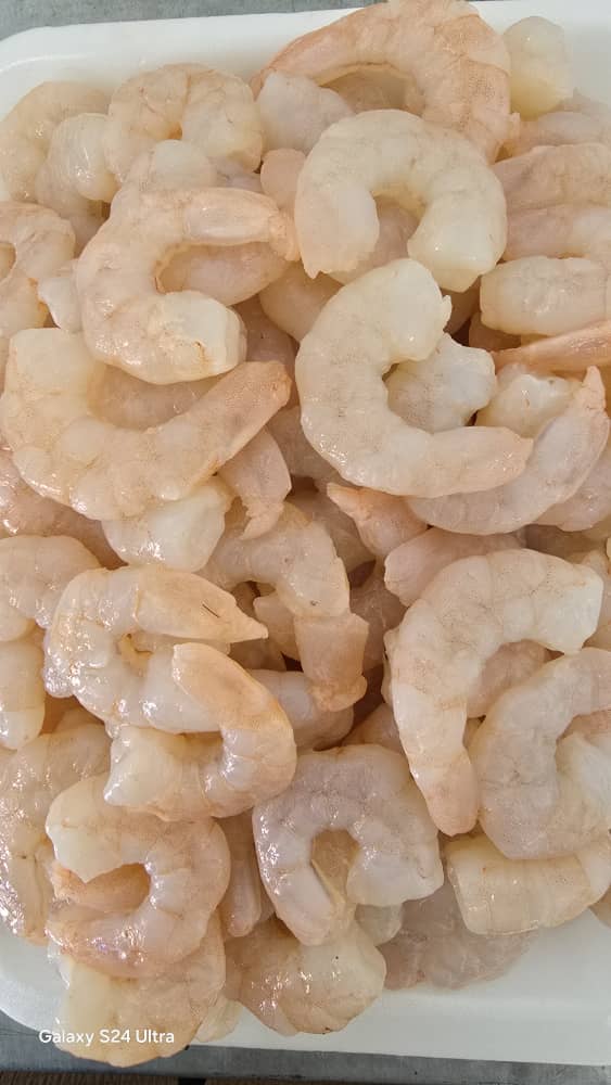 قیمت انواع میگو پاک شده