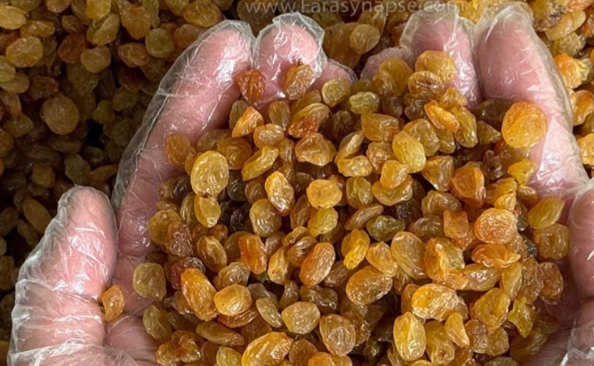 خرید کشمش پلویی انگوری + خرید فله