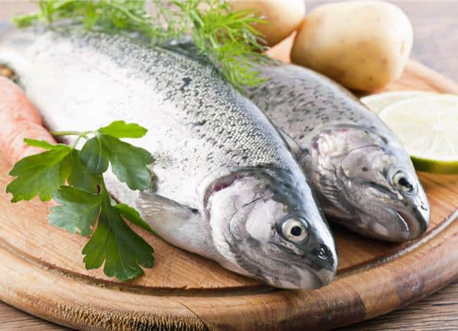 خرید و فروش تن ماهی رژیمی  با شرایط فوق العاده