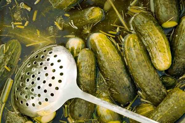 خرید و قیمت خیار شور بدون برند فله ای + فروش عمده