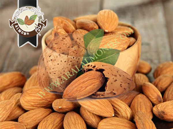بادام شاهرودی مرغوب + فروش به قیمت خرید