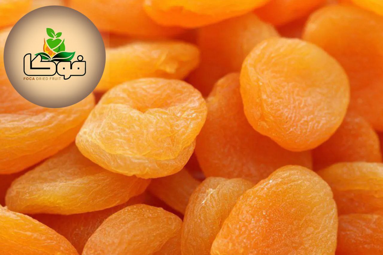 خرید قیسی درجه یک + کیفیت بالا