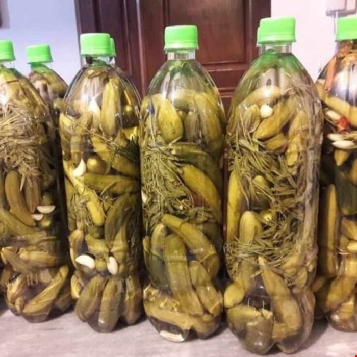 تصویر 5 از خرید و قیمت خیارشور بدون برند دبه ای +فروش عمده