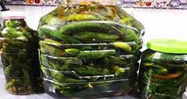 تصویر 3 از خرید و قیمت خیارشور بدون برند دبه ای +فروش عمده