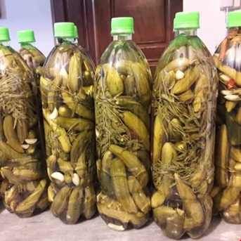 تصویر 4 از خرید و قیمت خیارشور بدون برند دبه ای +فروش عمده