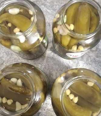 تصویر 1 از خرید و قیمت خیارشور بدون برند دبه ای +فروش عمده