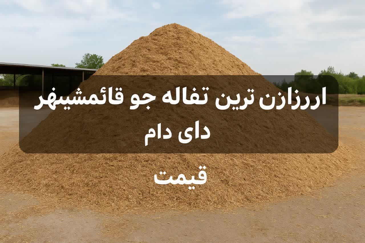 تفاله جو قائمشهر عمده