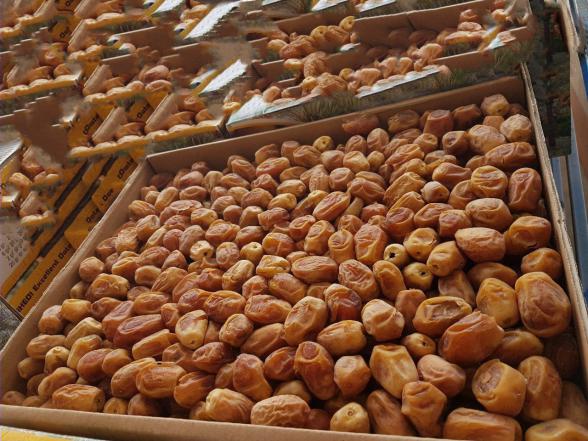 تصویر 4 از قیمت فروش انواع خرما زاهدی بسته بندی 10 کیلو + برداشت تازه