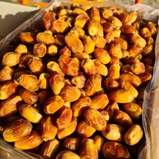 تصویر 3 از قیمت فروش انواع خرما زاهدی بسته بندی 10 کیلو + برداشت تازه