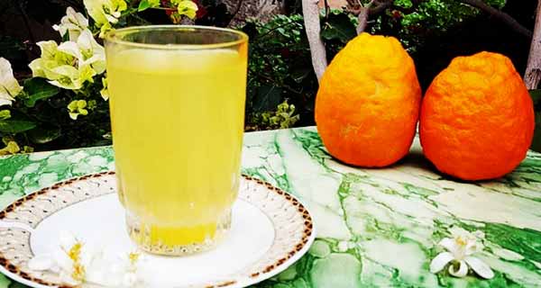معرفی شربت طبیعی بهار نارنج یک لیتری با قیمت ویژه