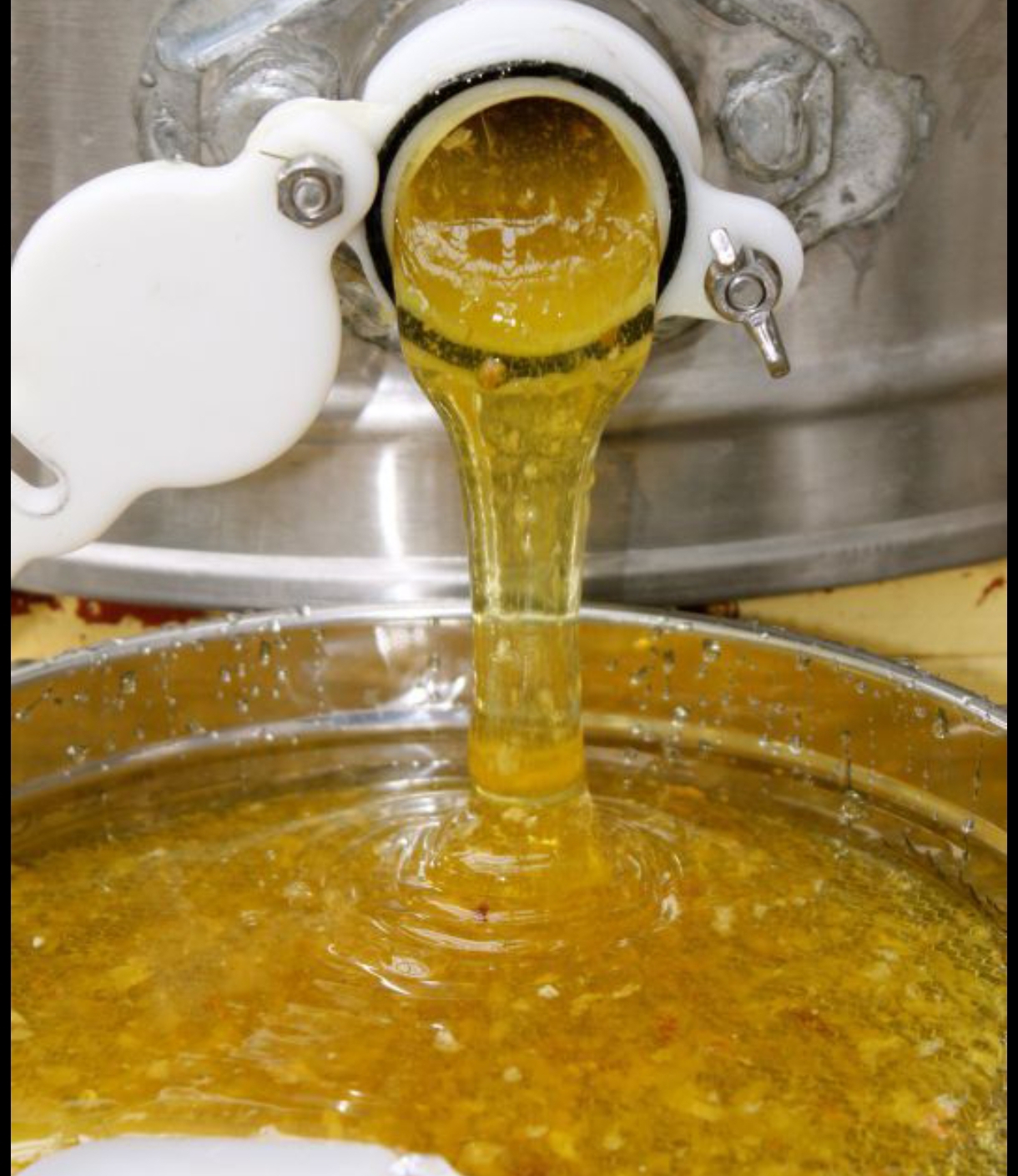 عسل یونجه شیشه 900 گرمی + فروش عمده