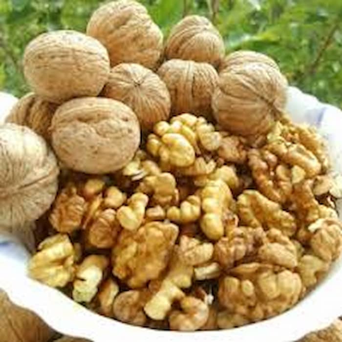 تصویر 3 از خرید و قیمت مغز گردو سفید درجه یک عمده صادراتی