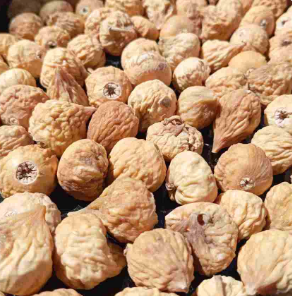 انجیر خشک بکر خرید
