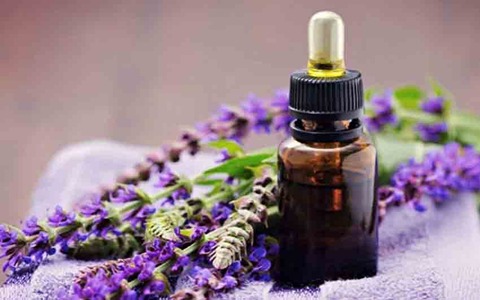 تصویر 1 از فروش عمده عصاره خوراکی گل گاو زبان مایع گرید ++A