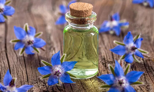 تصویر 2 از فروش عمده عصاره خوراکی گل گاو زبان مایع گرید ++A