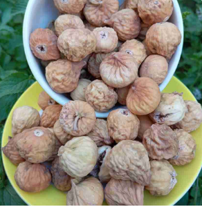 انجیر خشک استهبان دو رنگ خرید