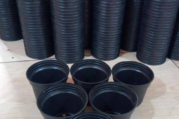 خرید گلدان های پلاستیکی + خرید فوری
