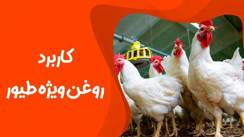 فروش روغن مخصوص خوراک دام و طیور + قیمت اسنثنایی