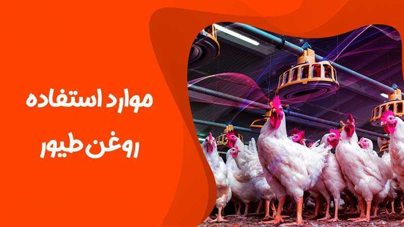 قیمت خرید روغن دام + (فله و گالن شده)