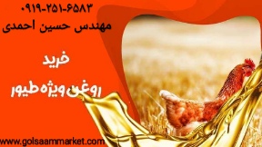 فروش روغن مخصوص خوراک طیور + کیفیت بالا و قیمت پایین