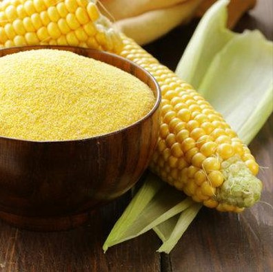 فروش عمده گلوتن ذرت با بسته‌بندی استاندارد و کیفیت برتر