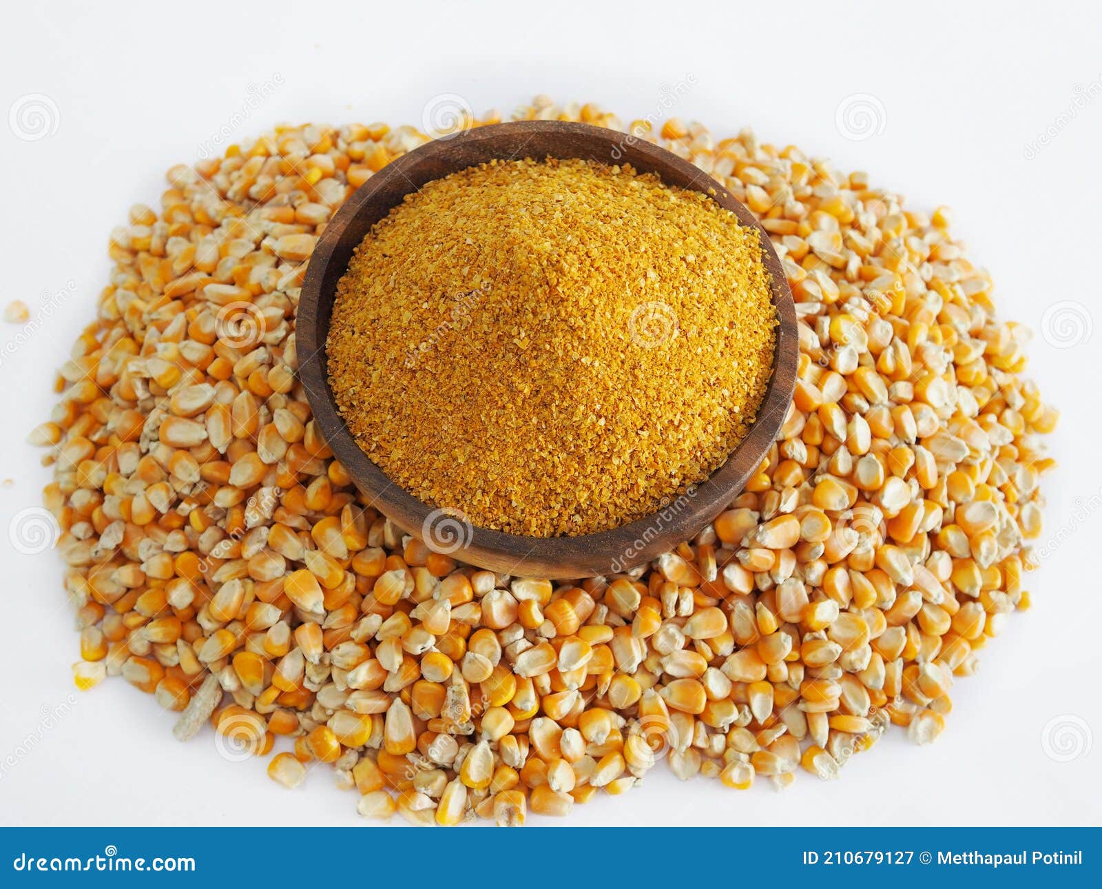 گلوتن ذرت با ارزش غذایی بالا بهترین جایگزین پروتئین‌های گران‌قیمت