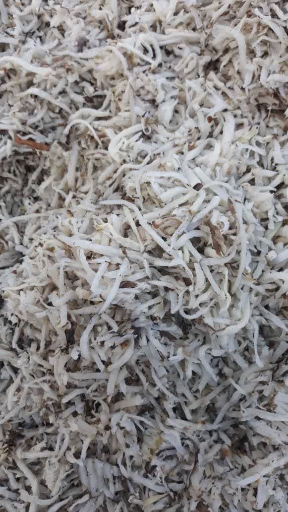 فروش عمده تفاله چغندر