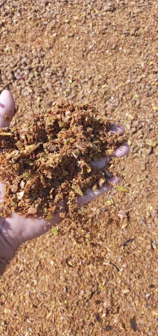 عرضه مستقیم تفاله سیب