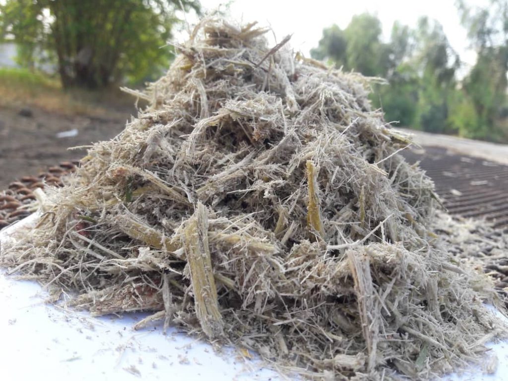 سفارش اینترنتی تفاله نیشکر