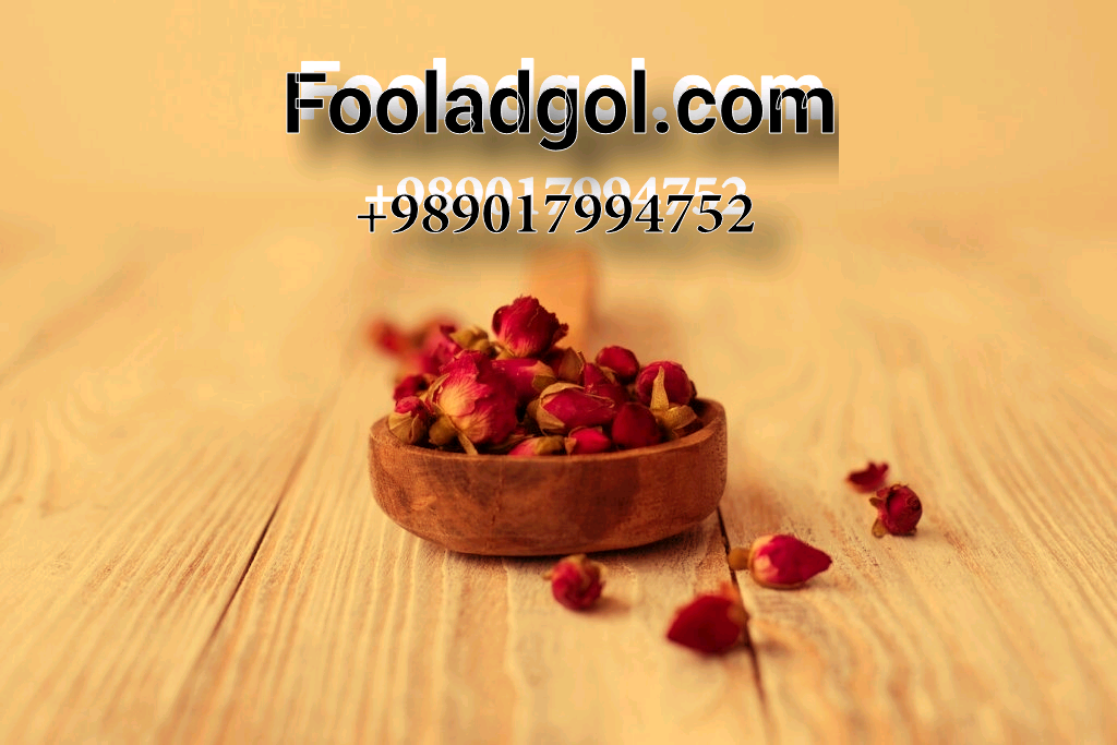 خرید عمده غنچه گل محمدی صادراتی در داراب با شرکت فولاد گل + قیمت