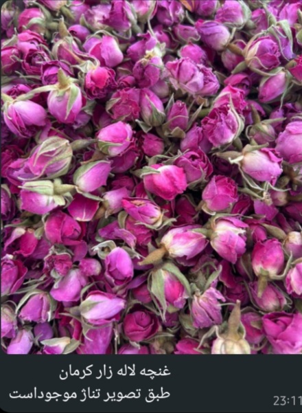 خرید ارزانترین غنچه گل محمدی درایران + ارسال فوری