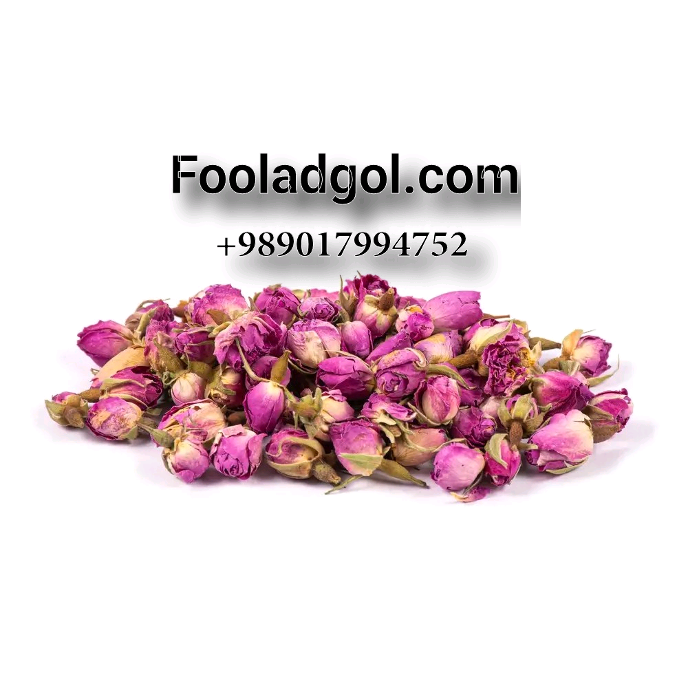 قیمت عمده غنچه گل محمدی صادراتی با شرکت فولاد گل + خرید