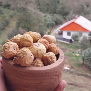 انجیر خشک کوهی خرید