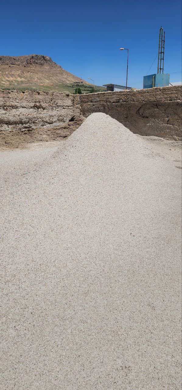 سفارش اینترنتی تفاله چغندر برای گاو شیری