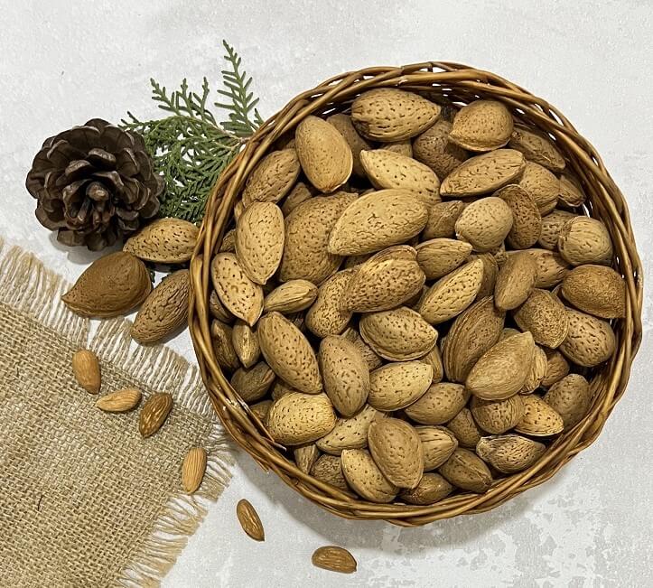 بادام ربیع با کیفیت + خرید به صرفه