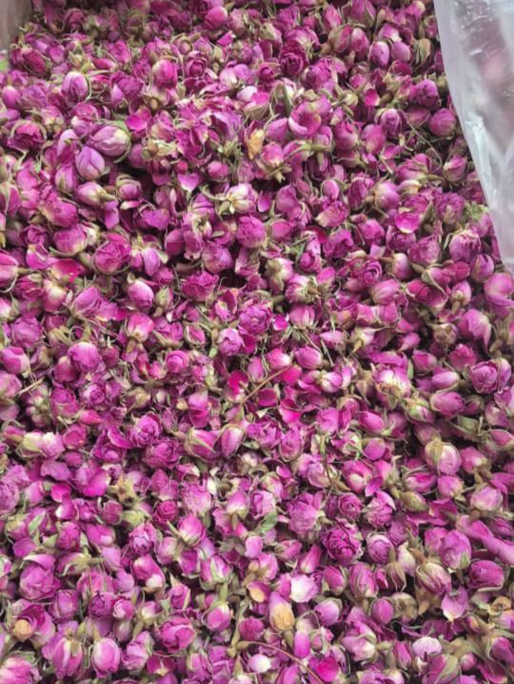 قیمت خرید بهترین غنچه گل محمدی + کیفیت عالی