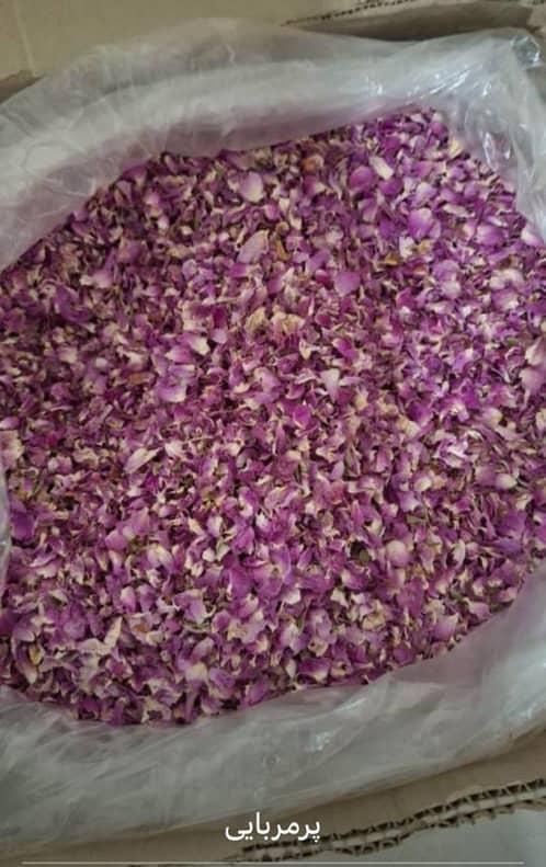 فروش بهترین پر گل محمدی صادراتی + قیمت عمده