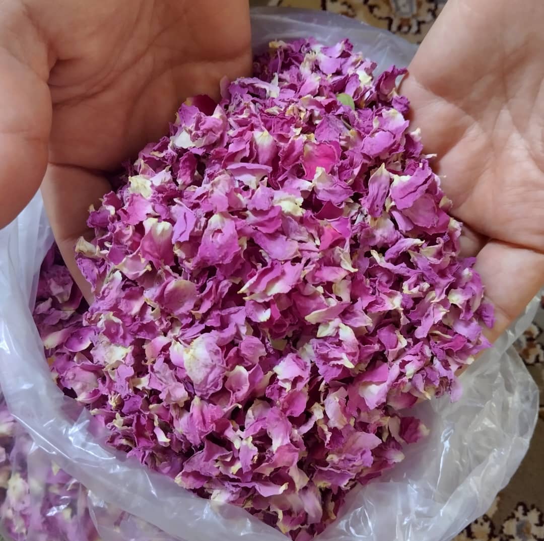 خرید پر گل محمدی خشک + خرید عالی