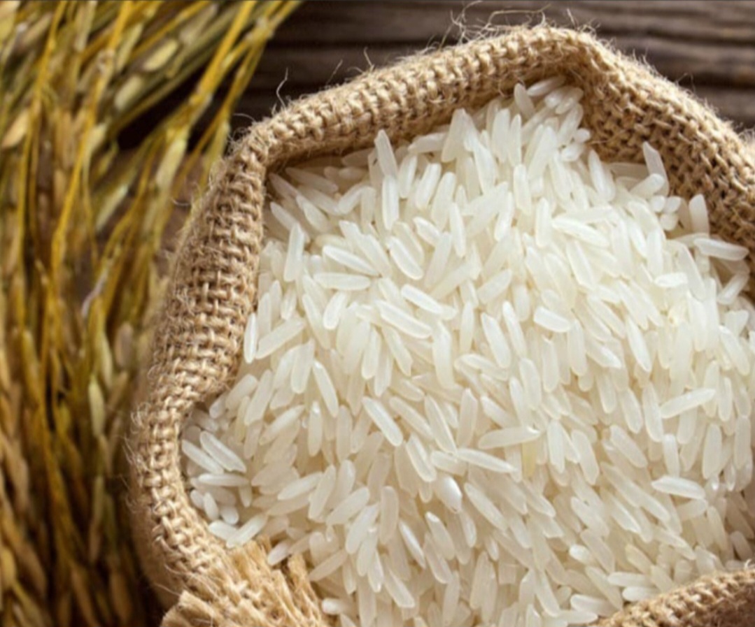 فروش برنج طارم هاشمی اعلا و درجه یک + فروش باور نکردنی