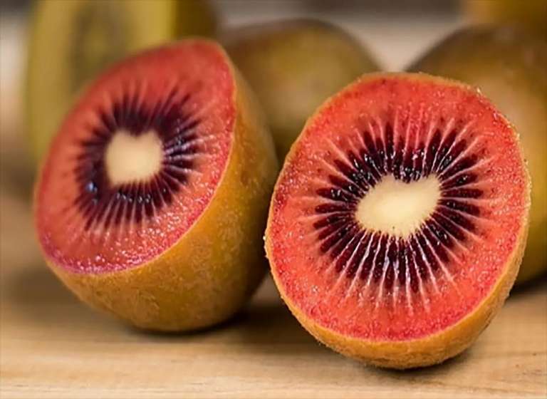 فروش عمده کیوی توسرخ + تولیدکننده کیوی توسرخ