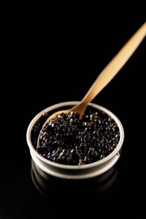 خاویار اصیل شمال + قیمت به صرفه