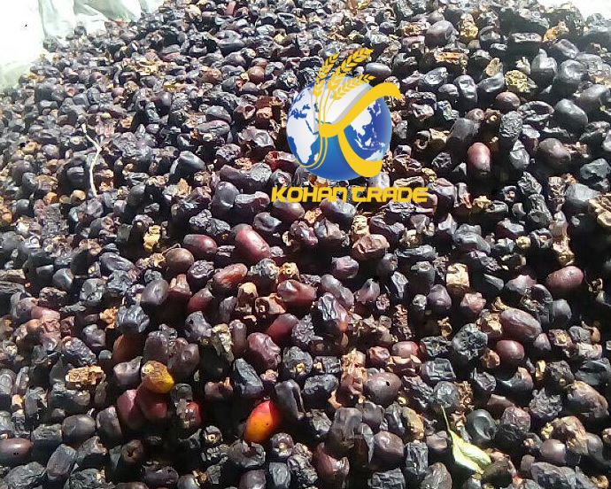 بهترین خرمای ضایعاتی جیرفت + خرید