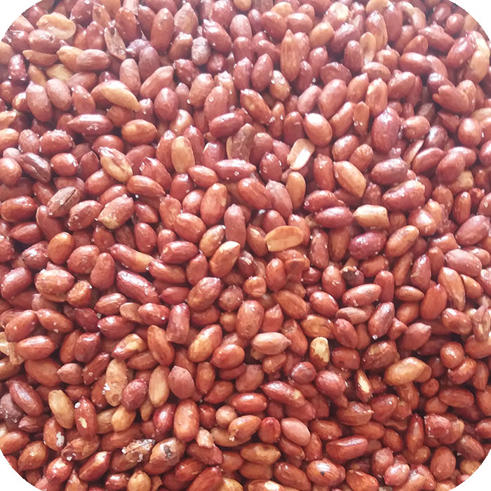 بادام زمینی آستانه خرید