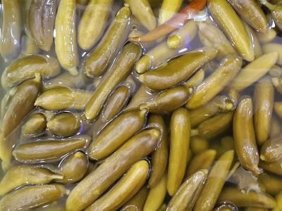 قیمت و نحوه سفارش + خیارشور درجه یک