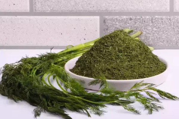 خرید عمده شوید خشک سرگل + تحویل فوری