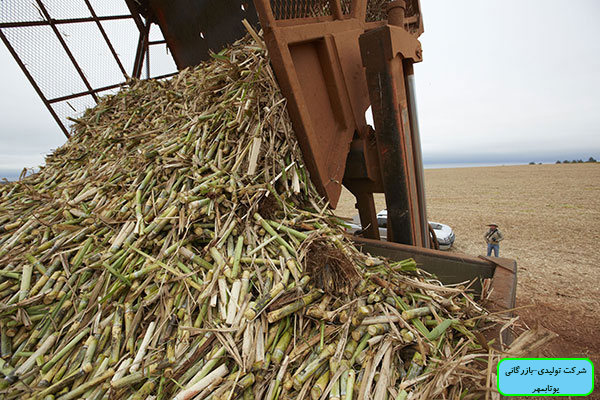 فروش ویژه تفاله نیشکر